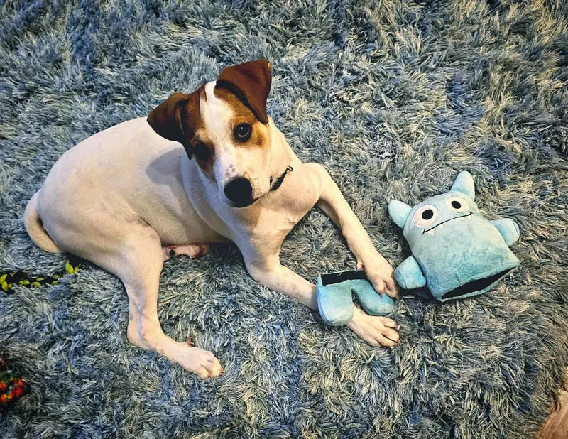 Post by Jack The Dog