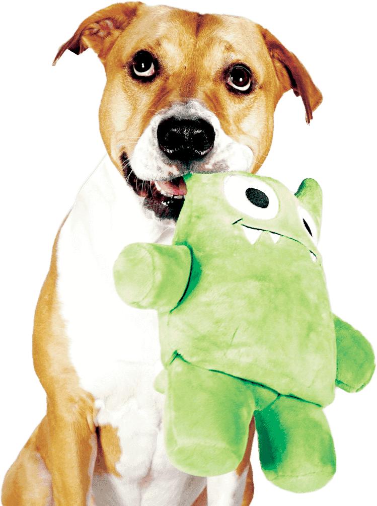 stuffed chew toys for dogs
